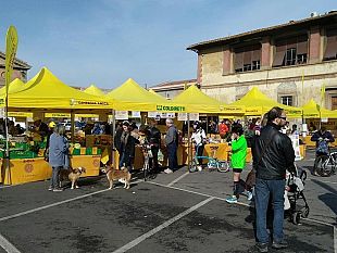 in-piazza-indipendenza-e-alle-cascine-un-nuovo-mercato-settimanale