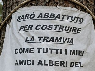 campo-di-marte-rivolta-contro-il-taglio-degli-alberi-per-la-tramvia