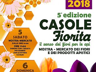 casole-fiorita-e-il-senso-dei-fiori-per-le-api