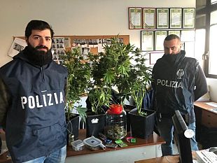marijuana-avvolta-nel-borotalco-per-coprirne-lodore