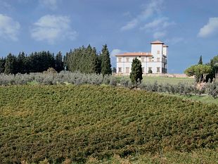 2019-una-vendemmia-da-manuale
