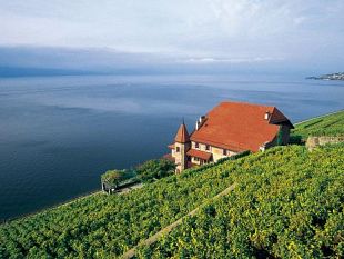 b003241431-losanna-una-citta-tutta-da-scoprire