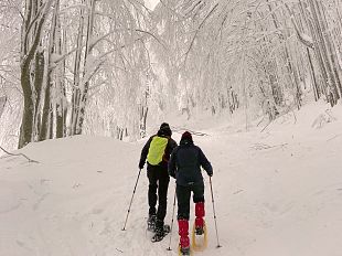 speciale-tg2-week-end-sulla-neve-del-parco-foreste-casentinesi