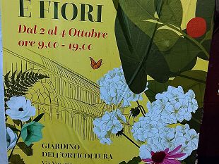 giardino-orticoltura-torna-la-mostra-dei-fiori-autunnale