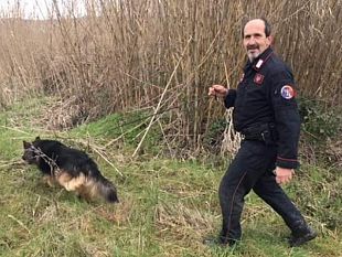 droga-interrata-alle-cascine-i-barattoli-sotto-le-foglie-nel-parco-di-firenze