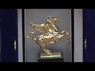 pegaso-doro-allospedale-fiorentino-di-careggi