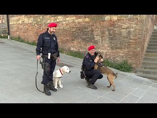 sicurezza-la-municipale-in-azione-alla-stazione-di-castelfiorentin