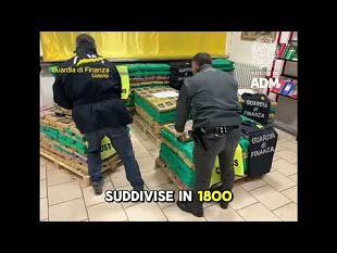 porto-di-livorno-due-tonnellate-di-cocaina-in-un-container