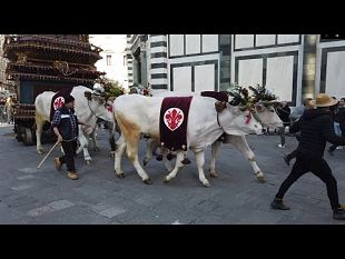 scoppio-del-carro-2023-il-video