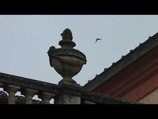 mondeggi-la-villa-resta-pubblica