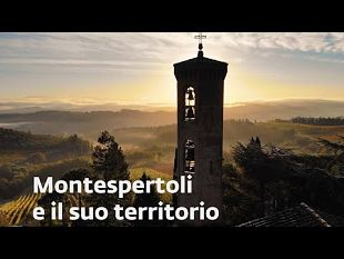 video-terre-degli-uffizi-montespertoli-e-il-suo-territorio