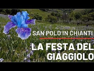 festa-del-giaggiolo-2023-a-san-polo-in-chianti-uno-splendore