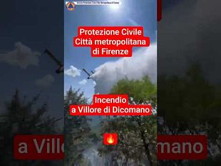preoccupazione-in-mugello-toscana-prima-con-ha-12-milioni-di-foreste