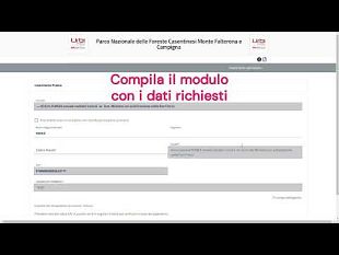 ricomincia-la-stagione-dei-funghi-nelle-foreste-casentinesi