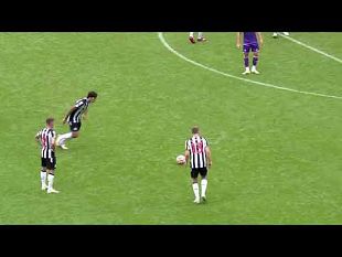 newcastle-2-fiorentina-0-la-sintesi