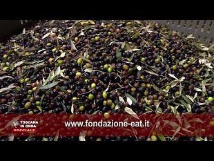 its-toscani-formazione-per-oltre-700-tecnici-specializzati