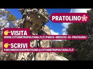 luglio-2025-gli-eventi-nel-parco-mediceo-di-pratolino