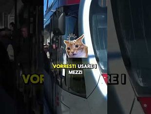 il-rimborso-fino-al-60-per-il-trasporto-scolastico