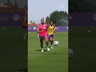 fiorentina-a-grosseto-martedi-1-agosto-lamichevole