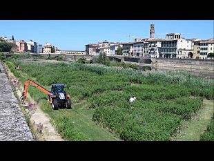 spiagge-sullarno-nuovo-progetto-a-firenze