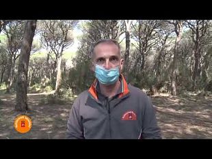 incendi-boschivi-piano-in-toscana-per-prevenirli