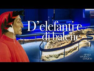 al-museo-con-dante