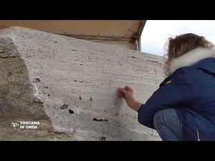 a-cavriglia-un-parco-darte-dedicato-alle-vittime-del-covid