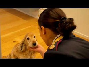 polizia-nuovo-spot-contro-labbandono-degli-animali-in-estate