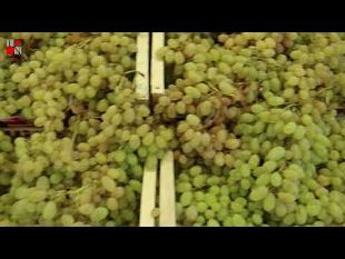 via-libera-allestensione-del-piano-sviluppo-rurale