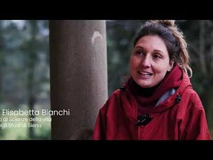 a-pratolino-il-progetto-bioconcultura