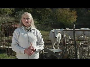 video-innocalvana-progetto-per-lagrobiodiversita