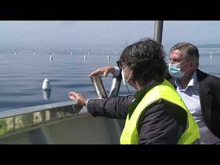 cozze-cresce-lallevamento-in-toscana