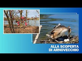 scopriamo-arnovecchio-loasi-naturale-di-empoli