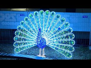 empoli-unestate-2025-nel-segno-della-luce