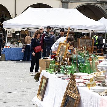 /images/0/0/00-foto-archivio-antiquari-in-centro-1.jpg