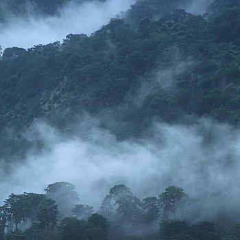 /images/0/2/02-foreste-pluviali---tanzania.jpg