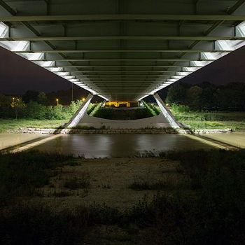 /images/0/3/03-ponte-leonardo.jpg