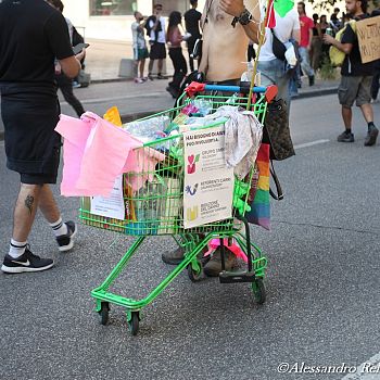/images/1/1/11-wish-pride---24-.jpg