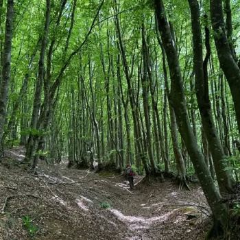 /images/1/2/12-corella-11-maggio-sentiero-00.jpg