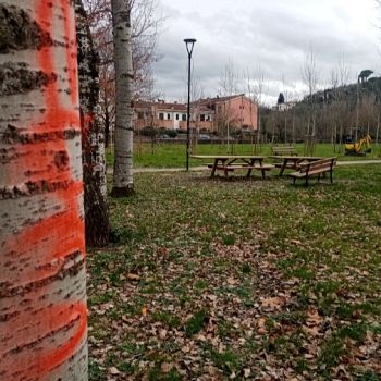 /images/1/3/13-screenshot-20250127-202053.jpg