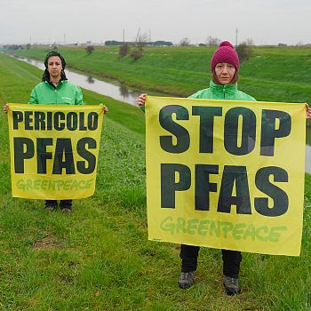 /images/1/6/16-pfas-gp-2.jpg