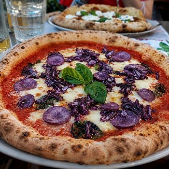 /images/1/6/16-pizza-viola.jpeg