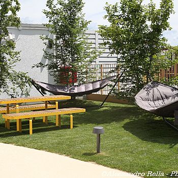 /images/1/7/17-tsh-roof--9-.jpg