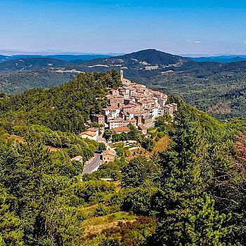 /images/1/8/18-montieri--gr---gerfalco-©-fai.jpg