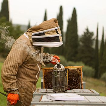 /images/2/4/24-castello-di-meleto-api.jpg