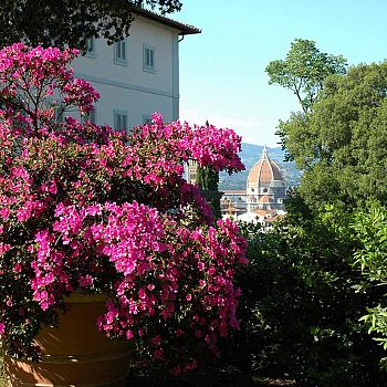 /images/2/4/24-giardino-bardini-2-ph--giovanni-breschi-grandi-giardini-italiani-b.jpg