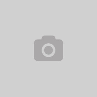 /images/2/5/25fiorentina-steaua1.bmp