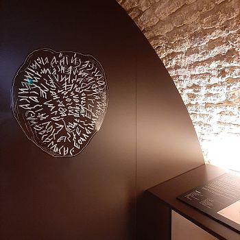 /images/2/6/26-piombo-di-magliano-mostra-2.jpeg