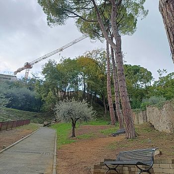 /images/2/8/28-camminamento-santo-stefano-5.jpg