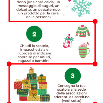 /images/2/9/29-infografica-scatole-di-natale-2022.png